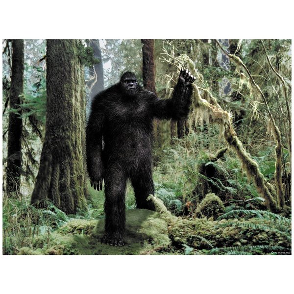 Bigfoot Edible Icing Image Cake Topper for 1/4 sheet cake