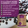 Pomona Wellness Elderberry Gummies with Zinc and Vitamin C for Immune Support 3-1 Chewable Black Elderberry Gummy Supplement for Kids and Adults, Vegan, 90 Gummies