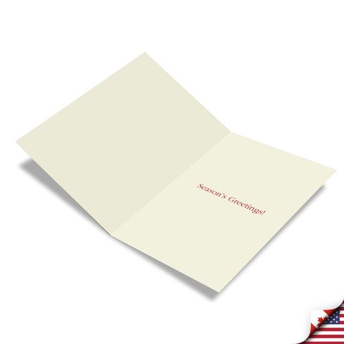 The Best Card Company Pack of 12 Christmas Greeting Cards with Envelopes, Humor Holiday for Men and Women (1 Design, 12 Cards) -Picture-Perfect Santas B1746DXSG