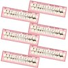 68 Pieces Fake Teeth False Teeth Sets Halloween Complete Acrylic Resin Teeth Denture Dental Teeth Dentures False Teeth False Tooth Kit for Horror Prop DIY Teach Model 6 Sets, 23 A2