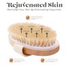 Dry Skin Body Brush - Improves Skin's Health and Beauty - Natural Bristle - Remove Dead Skin and Toxins, Cellulite Treatment, Improves Lymphatic Functions, Exfoliates, Stimulates Blood Circulation