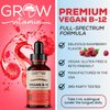Vegan B12 Complex Liquid Sublingual Drops - Premium Methylcobalamin Supplement for Stronger Hair Skin & Nails Vitamin b12 b6 b5 b3 & b2 Natural Energy Boost, Immune System & Mental Focus Support