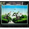 Novelsite Fish Tank Decor- Bonsai Trees with Faux Moss- Aquarium Rocks Aquascaping- Made of Sandstone, Goldfish Betta Fish Tank Decorations Hides Accessories