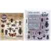 Tim Holtz Entomology - Stampers Anonymous Cling Stamps and Sizzix Framelits Die Set - Two Item Bundle