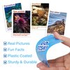 BenBen Go Fish Card Game for Kids, 104 Cards, Ocean Theme Memory Matching Game, Sea Animals Learning Playing Cards, Picture Cards with Real Photos, Fun Facts, 2-8 Players