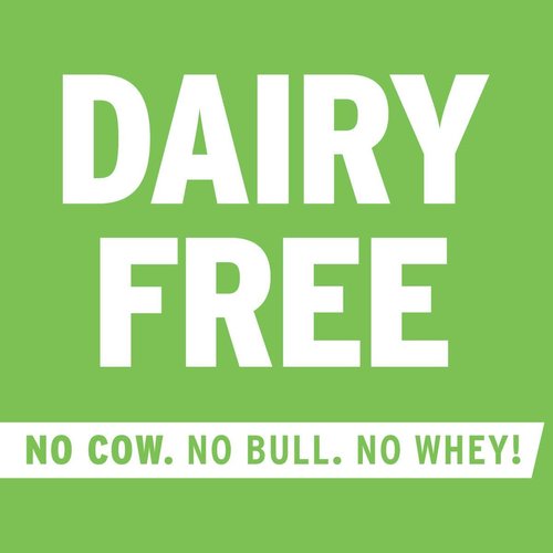 No Cow High Protein Bars, Top Flavors Pack, 20g Plus Plant Based Vegan, Keto Friendly, Low Sugar, Low Carb, Low Calorie, Gluten Free, Dairy Free, Non GMO, Kosher, 12 Pack