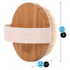 H&S Round Body Brush for Skin Exfoliating - 2 Pcs - Cellulite Shower Skin Brushes for Wet and Dry Brushing - Shower Scrubber for Skin Cellulite with Natural Bristle