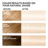 L'Oreal Feria Absolute Platinums Hair Color, Extreme Platinum 1 ea (Pack of 2)