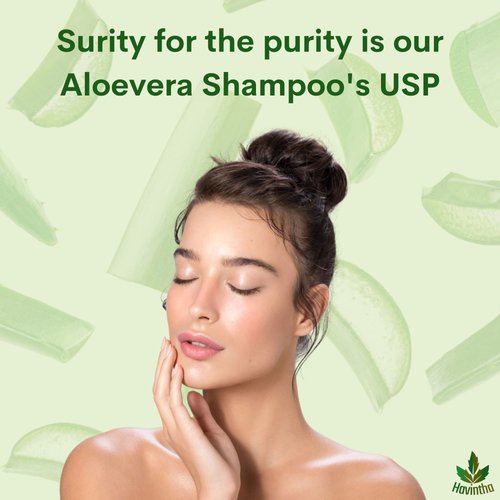 Havintha Natural Amla Reetha Shikakai And Aloevera Powder Shampoo For Oily Hair| Organic Powder for Hair Growth