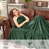 Inhand Fleece Throw Blankets, Super Soft Flannel Cozy Blankets for Adults, Washable Lightweight Blanket for Couch Sofa Bed Office, Warm Plush Blankets for All Season (50"×60", Green)