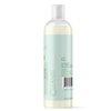 INAHSI Soothing Mint Gentle Cleansing Shampoo | Hair Shampoo for Men, Women, or Kids with Curly Hair | Hair Products for Naturally Curly Hair 12 oz | Made in the USA