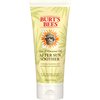 Burt's Bees After Sun Lotion with Hydrating Aloe Vera & Coconut Oil - Summer Essentials, Sunburn Relief, Natural After Sun Soother, 6 oz