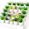 26Pcs Miniature Potted Plants, Mini Artificial Plants, 1:12 Scale Doll House Accessories, Suitable for Dollhouse Decoration, Christmas Birthday Present, DIY Handicrafts