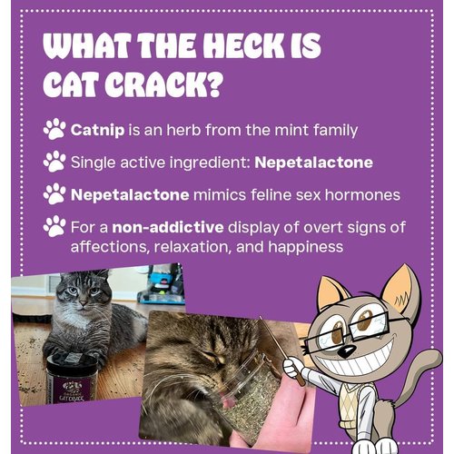 Cat Crack Organic Catnip, 100% Natural Cat Nips Organic Blend That Energizes and Excites Cats, Safe Catnip Treats Used for Cat Play, Cat Training, & New Organic Catnip Toys for Cats(1 Cup Organic)