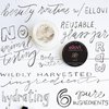 Ellovi All-Natural Luxuriously Whipped Body Butter - Vanilla - Pure Enough to Eat - Made With Just 6 Vegan Ingredients - 100% Plant-Based Moisturizer For Naturally Healthy Skin (2 fl. oz/59ml)