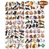 101 PCS Horse Temporary Tattoos Themed Birthday Party Favors Decorations Supplies Decor Stickers For Girls Boys Men Gift School Prizes Rewards