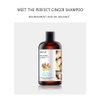 JOMTAM Silky Supple Shampoo Hair Oil Ginger Essence Natural Extract Smooth Mild Formula Itch Protect Moisturizes Nourishes Clears 400ml 13.5fl.oz