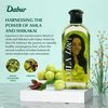 Dabur Amla Lite Hair Oil - Natural Moisturizing, Strengthening and Hair Oil Elixir for Healthy Scalp, Promotes Nourishing Hair Oil for Soft, Manageable, Long and Smooth Hair From Root to Tip - 200 ML