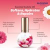 Blossom Hydrating, Moisturizing, Strengthening, Scented Cuticle Oil, Infused with Real Flowers, Made in USA, 0.42 fl. oz, Rose
