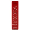 Schwarzkopf Igora Royal Permanent Hair Color - 9.5-4 Pastel Beige Blonde