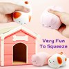 Squishy Dog & Splash Piggy Stress Balls for Kids Squishy Ball Fidget Toys (2-Pack) Sensory Stress Toys Squish Dough Ball Stress Relief Toy Autism Sensory Toys for Autistic Children Party Favors