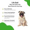 Pet Wellbeing Life Gold for Dogs - Vet-Formulated - Immune Support and Antioxidant Protection - Natural Herbal Supplement 2 oz (59 ml)