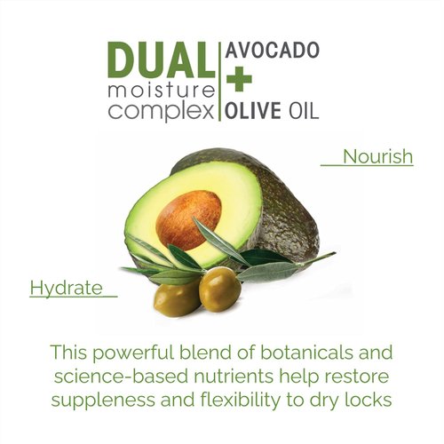 GIOVANNI 2chic Ultra-Moist Shampoo - Avocado & Olive Oil, Creamy Hydration Formula, Enriched with Aloe Vera, Shea Butter, Botanical Extracts, No Parabens, Color Safe - 8.5 oz