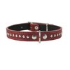 Dogs My Love Genuine Leather Studded Padded Dog Collar 15" x5/8" Wide Fits 10"-13" Neck, Pomeranian, Chihuahua, Puppies