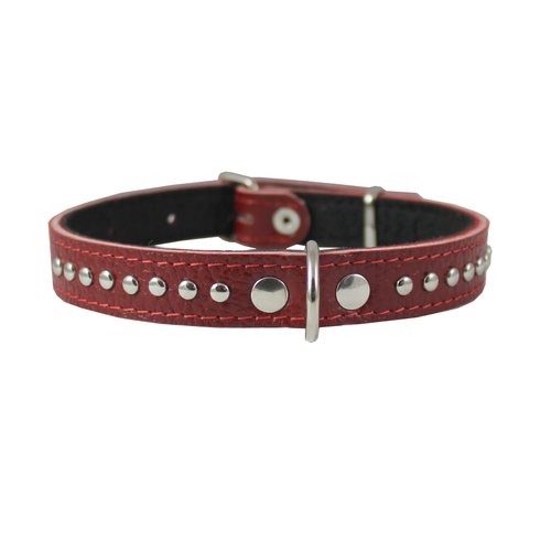 Dogs My Love Genuine Leather Studded Padded Dog Collar 15" x5/8" Wide Fits 10"-13" Neck, Pomeranian, Chihuahua, Puppies