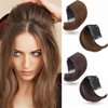 WUODHTW 2Pcs Hair Bun Invisible False Hair Clip Bump Up Comb Clip Bun Hair Fluffy Hair Pad Women Thinning Hair Accessories
