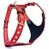 Bestia Star Studded Leather Dog Harness