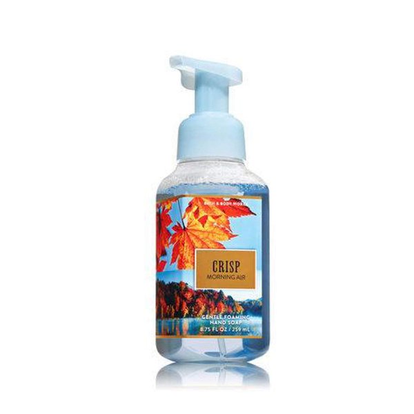 Bath and Body Works Gentle Foaming Hand Soap Crisp Morning Air