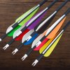 Letszhu Arrows Vanes 4 Inch Plastic Feather Fletching for DIY Archery Arrows 50 Pack (Black)