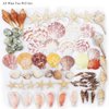 Sea Shells Mixed Beach Seashells 9 Kinds 1.2"-3.5 "Various Sizes Natural Seashells and 2 Kinds of Natural Starfish for Beach Themed Party DIY Crafts Fishtank Vase Fillers Home Wedding Decorations