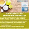 Organic Use Sodium Bicarbonate Alkaline Supplement for Alkalinity. Support Kidneys & Stomach Acid Neutralizer w/Alkaline Superfoods. Sodium Bicarbonate Powder Kidney Immune Support Antacid Sports 1LB