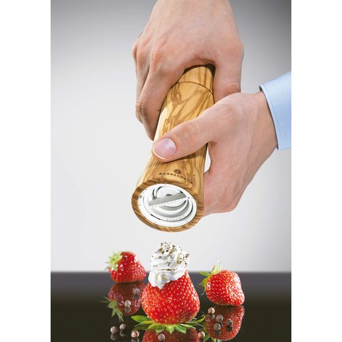 Zassenhaus "Frankfurt" Olive Wood Ceramic Salt Mill, 7-Inch