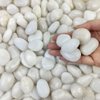 FANTIAN Small White Pebbles for Plants - 0.8-1.2 inch Decorative White River Rocks for Plants, Aquariums Rocks, Landscaping Rocks, White Stones for Planter Vase and Outdoor Garden Rocks 2 Pounds