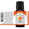 Plant Therapy Chakra 2 Joyful Creation (Sacral Chakra) Essential Oil Blend 10 mL (1/3 oz) 100% Pure, Undiluted, Therapeutic Grade