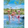 Playmobil Flock of Flamingos Building Kit