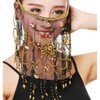 Baisdan Face Veils Belly Dance Costumes Mesh Face Veil with Beaded Halloween Costume Accessory (One Size, Black)