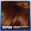 Clairol Nice'n Easy Permanent Hair Dye, 5RB Medium Reddish Brown Hair Color, Pack of 3