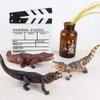 Fantarea 3 PCS Simulation Realistic Wild Life Jungle Animal Figures Model Figurines Crocodile Alligator Party Favors Desktop Decoration Playset Toys for 5 6 7 8 Years Boys Girls Toddler