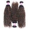 Sunber 12A Ombre Brown Curly Human Hair 3 Bundles 100% Brazilian Virgin Jerry Curly Human Hair Extensions Brown Highlight Weaves Piano Color (12 14 16) Inch Two Tone FB30 Brown Color
