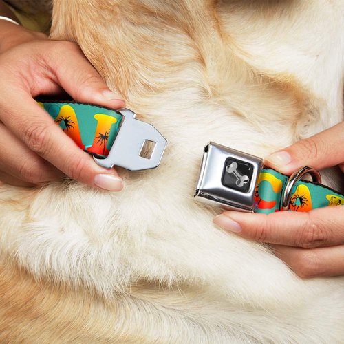 Dog Collar Seatbelt Buckle Cali Tropical Aqua Multi Color 15 to 26 Inches 1.0 Inch Wide