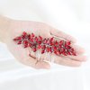 Brihasory Luxurious Wedding Hair Comb Full Rhinestones Bride Hair Accessories for Party Prom Bridal Side Hair Combs for Women Bride Girls Hair Decoration(Red)
