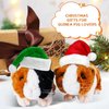 SENPOWER Realistic Guinea Pig Stuffed Animal, Cute Guinea Pig Plush for Kids, Small Stuffed Animals Toys for Boys Girls Children's Christmas Birthday Gifts (Yellow-Brown)