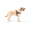 ComfortFlex Sport Harness - American Made No Pull Patriotic Dog Harness Small Sized Dog - Lightweight, Padded, No Rub Harness for Walking, Running and Control - Small, The Patriot