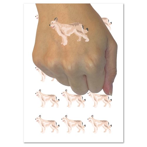 Berger Picard Dog Solid Temporary Tattoo Water Resistant Fake Body Art Set Collection - 15 2" Tattoos (1 Sheet)