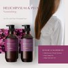 Theorie: Sage - Helichrysum & Plum - Nourishing Shampoo - For Dry & Over-Processed Hair - Protects Color & Keratin Treated Hair, 400ml (Label Design May Vary)