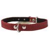 Genuine Leather Felt Padded Dog Collar X-Small 11" x1/2" Wide Fits 8"-10" Neck, Chihuahua, Puppies